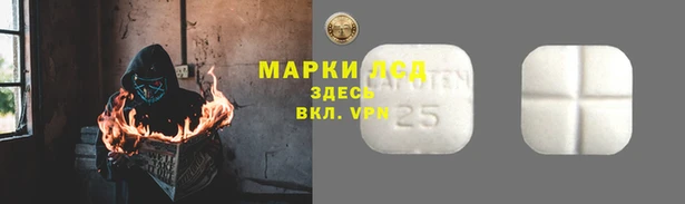 молекула духа Семёнов